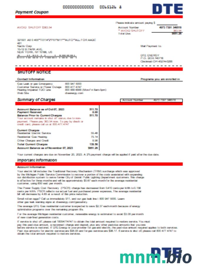 Michigan DTE Energy rachunek za usługi komunalne, Word i szablon PDF
